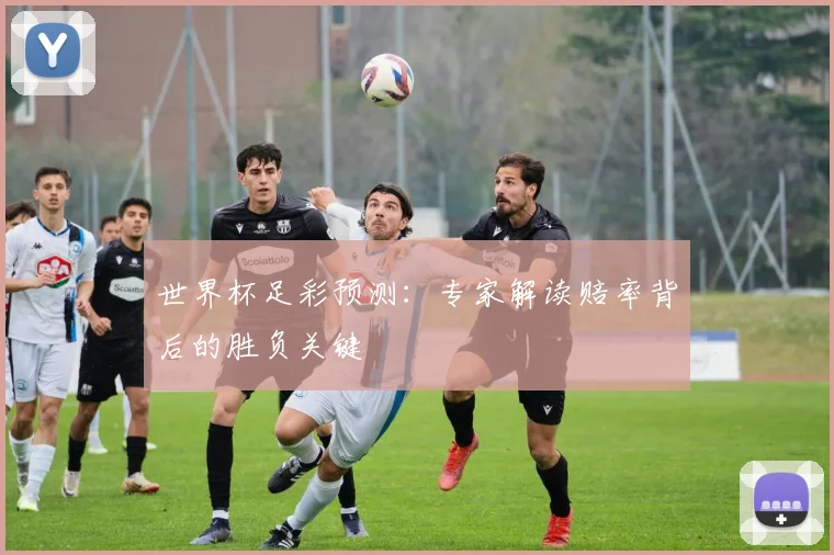 世界杯足彩预测：专家解读赔率背后的胜负关键