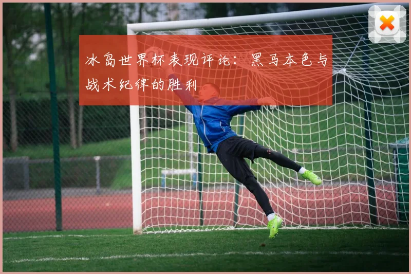 冰岛世界杯表现评论：黑马本色与战术纪律的胜利
