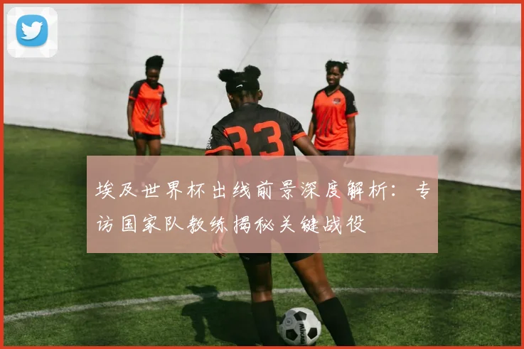 埃及世界杯出线前景深度解析：专访国家队教练揭秘关键战役