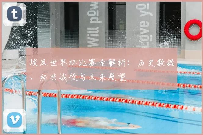 埃及世界杯比赛全解析：历史数据、经典战役与未来展望