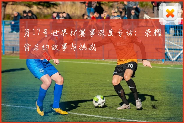 月17号世界杯赛事深度专访：荣耀背后的故事与挑战