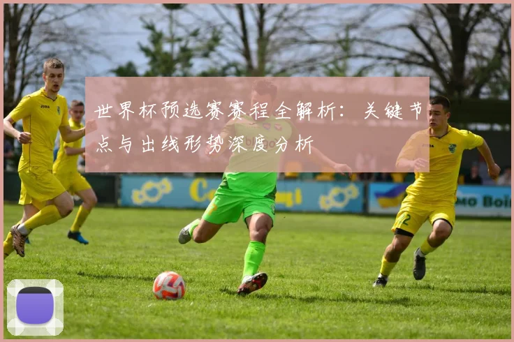 世界杯预选赛赛程全解析：关键节点与出线形势深度分析