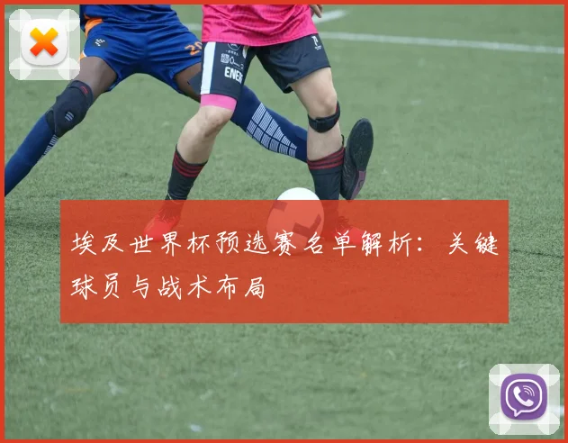 埃及世界杯预选赛名单解析：关键球员与战术布局