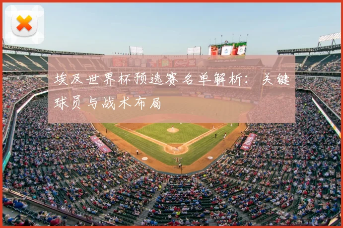 埃及世界杯预选赛名单解析：关键球员与战术布局