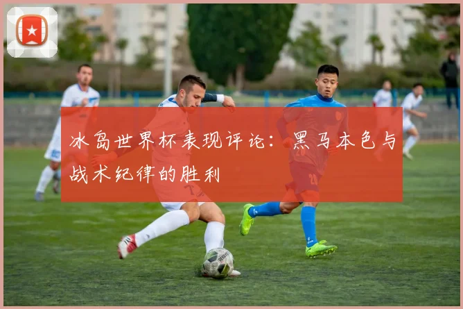 冰岛世界杯表现评论：黑马本色与战术纪律的胜利
