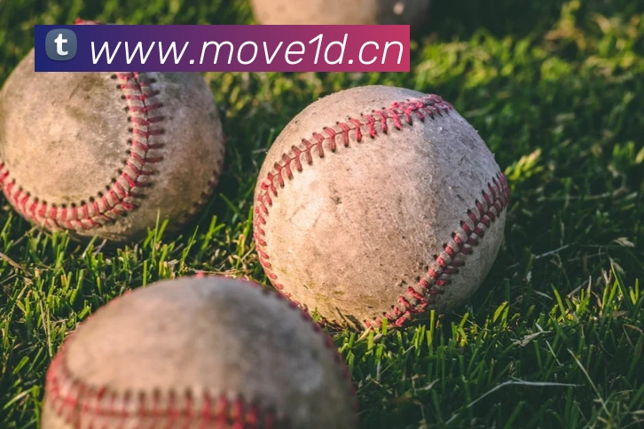 星空官网网页版入口平台生态图